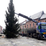 Arrivée du sapin de Noël sur la Grand’Place du Roeulx
